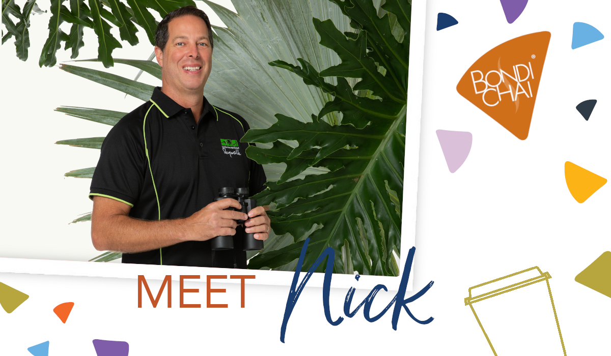 A Moment With Nick Tamborine Rainforest Skywalk